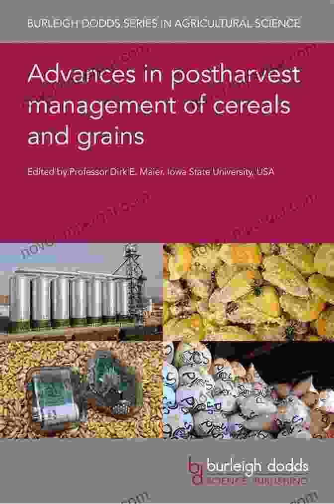 A Glimpse Into The Future Of Postharvest Cereal And Grain Management Advances In Postharvest Management Of Cereals And Grains (Burleigh Dodds In Agricultural Science 88)