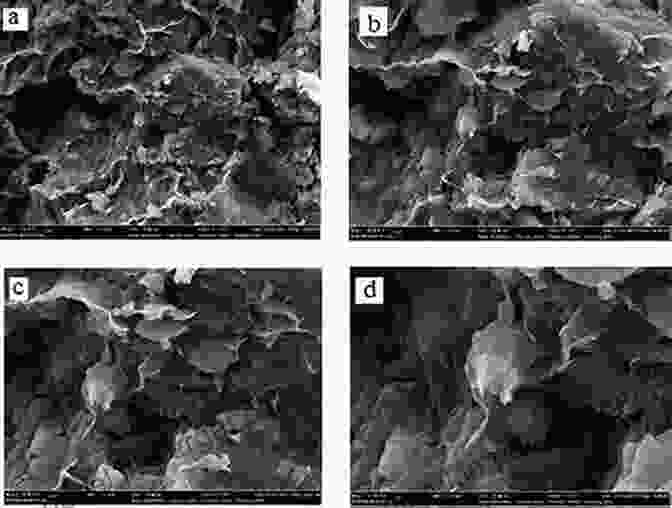 A Microscope Image Showing The Microstructure Of An Intelligent Material Mechanical Behaviour Of Engineering Materials: Volume 2: Dynamic Loading And Intelligent Material Systems