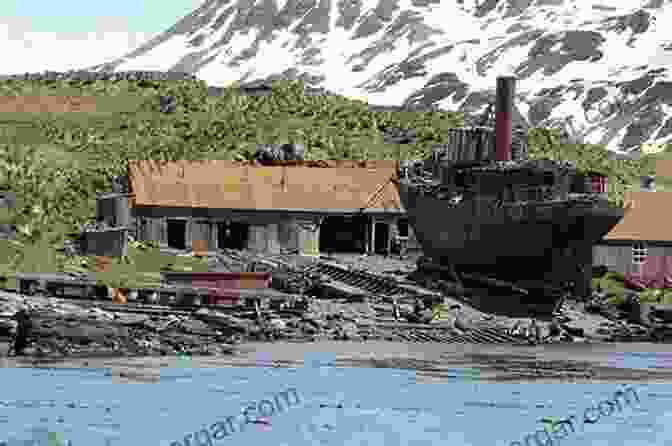 An Abandoned Soviet Whaling Station Red Leviathan: The Secret History Of Soviet Whaling