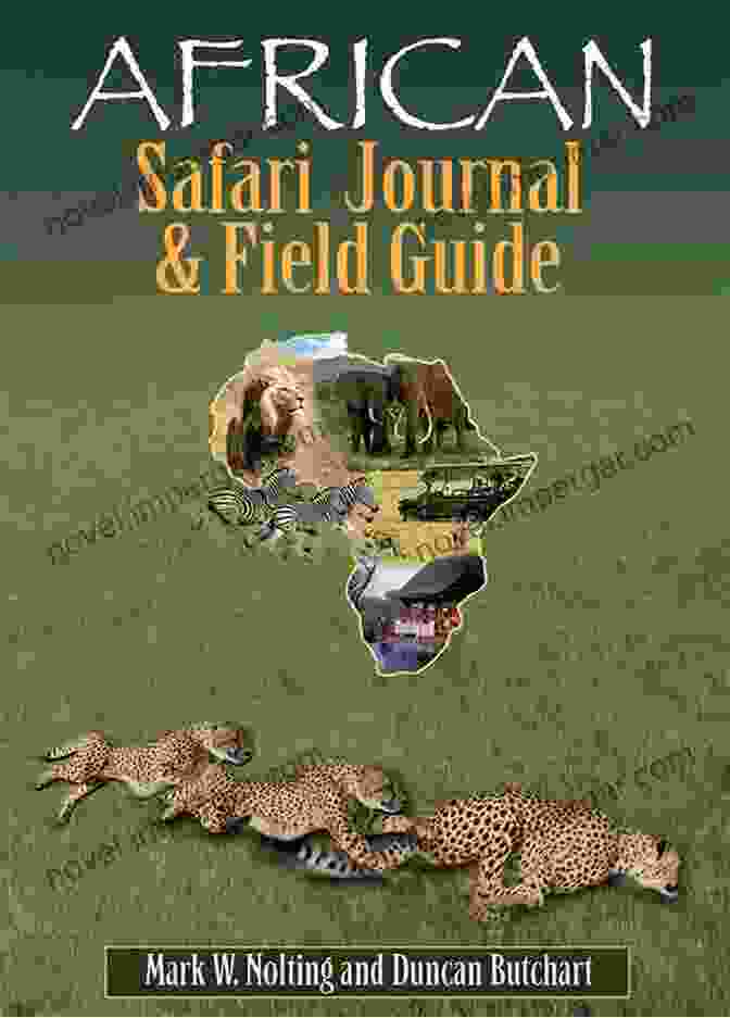 An African Perspective Field Guide Cover Field Guide To Trees Of Southern Africa: An African Perspective (Field Guide To (Struik Publishers))