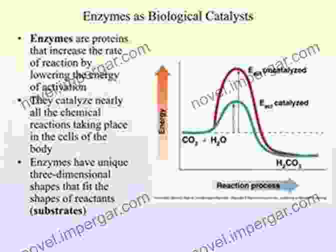 Biological Catalyst Catalysis And The Mechanism Of Methane Conversion To Chemicals: C C And C O Bonds Formation Using Heterogeneous Homogenous And Biological Catalysts