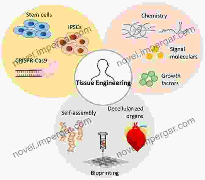 Biomaterials Used In Tissue Engineering 3D Printing In Medicine And Surgery: Applications In Healthcare (Woodhead Publishing In Biomaterials)