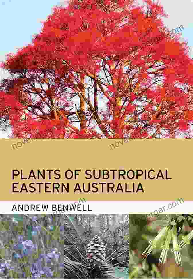 Book Cover Of Plants Of Subtropical Eastern Australia Plants Of Subtropical Eastern Australia