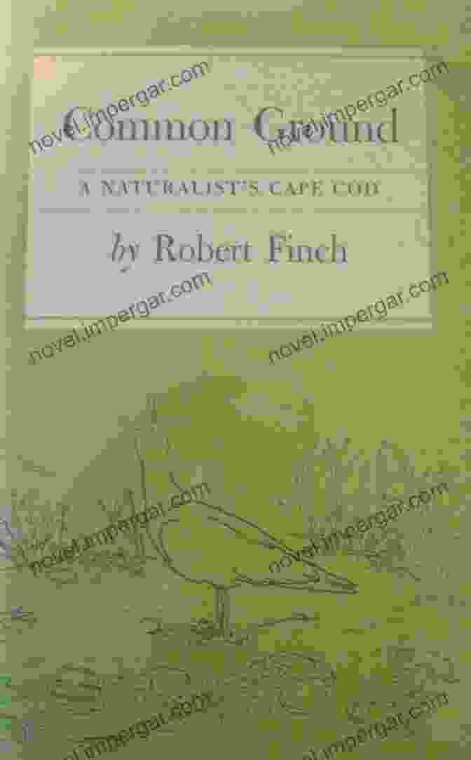 Cover Of 'Common Ground Naturalist Cape Cod' Book Common Ground: A Naturalist S Cape Cod