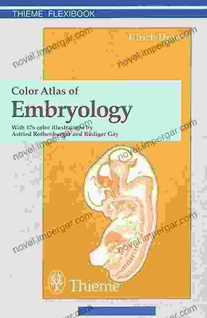 Cover Of The Color Atlas Of Embryology By Ulrich Drews Color Atlas Of Embryology Ulrich Drews