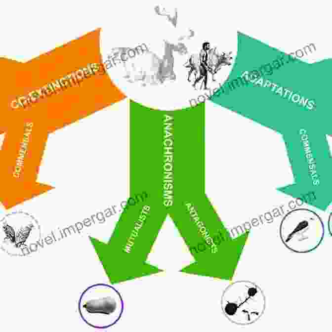 Diagram Depicting The Cascading Ecological Effects Of Megafauna Extinction. Once And Future Giants: What Ice Age Extinctions Tell Us About The Fate Of Earth S Largest Animals