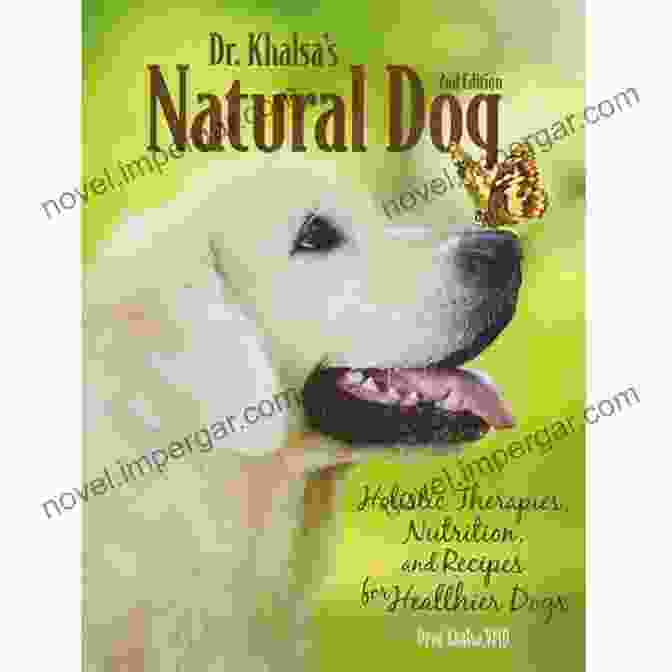 Dr. Khalsa's Natural Dog Book Cover Dr Khalsa S Natural Dog: Holistic Therapies Nutrition And Recipes For Healthier Dogs