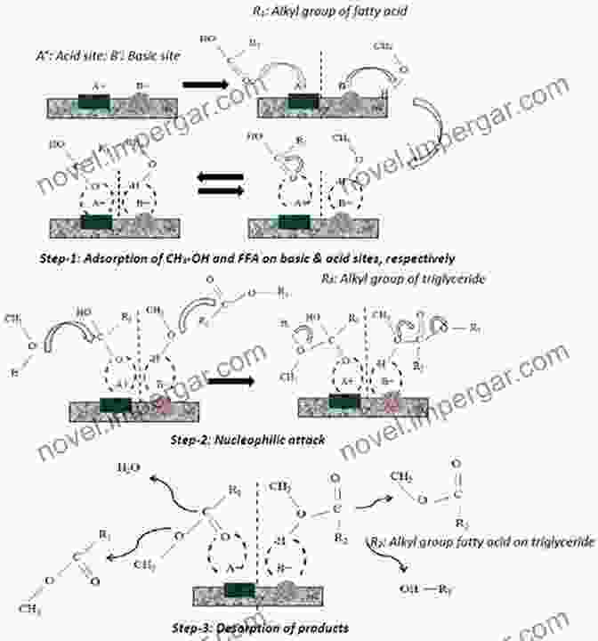 Homogenous Catalyst Catalysis And The Mechanism Of Methane Conversion To Chemicals: C C And C O Bonds Formation Using Heterogeneous Homogenous And Biological Catalysts