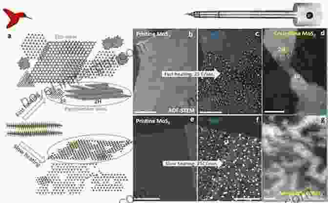 In Situ TEM Experiment Revealing Structural Changes In A Material Advanced Transmission Electron Microscopy: Imaging And Diffraction In Nanoscience