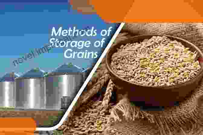 Innovative Storage Methods For Preserving Grain Quality Advances In Postharvest Management Of Cereals And Grains (Burleigh Dodds In Agricultural Science 88)