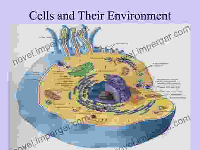 Interplay Between Cells And Their Mechanical Environment Lung The: Developmental Morphogenesis Mechanobiology And Stem Cells (Regenerative Medicine Artificial Cells And Nanomedicine 5)