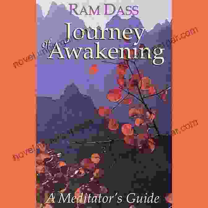 Journey Of Profound Awakening Book Cover Depicting A Path Leading To A Bright Light Bright Lights Big Empty: A Journey Of Profound Awakening