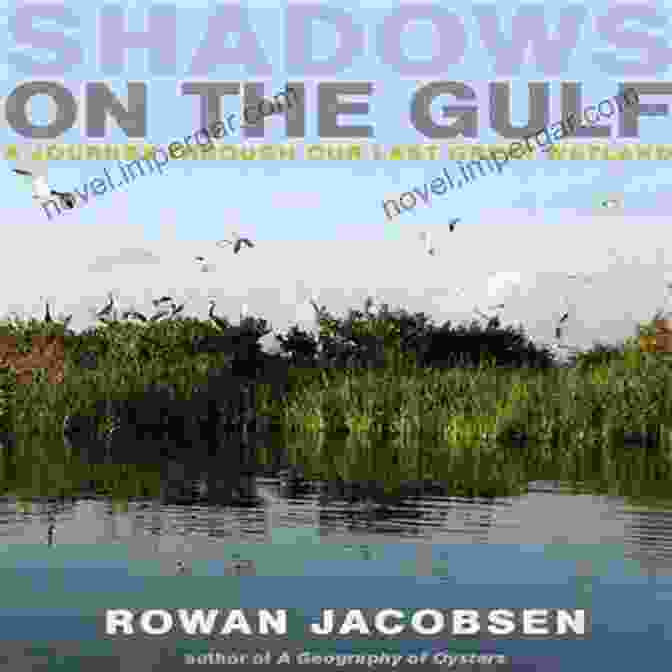 Journey Through Our Last Great Wetland: A Photographer's Odyssey Shadows On The Gulf: A Journey Through Our Last Great Wetland