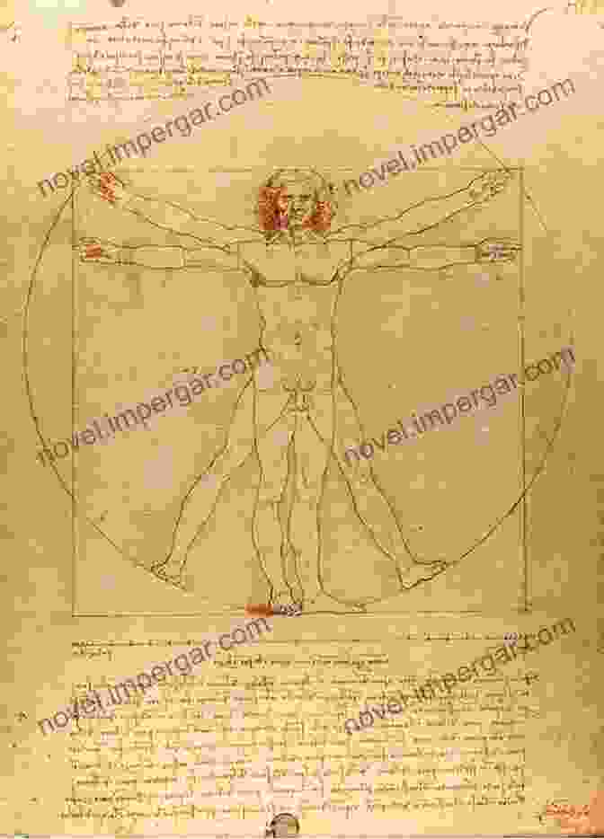 Leonardo Da Vinci Sketching The Vitruvian Man Leonardo And Gabriel Tim Tigner