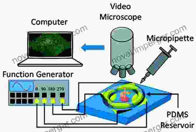 MEMS In Biomedical Applications Introductory MEMS: Fabrication And Applications