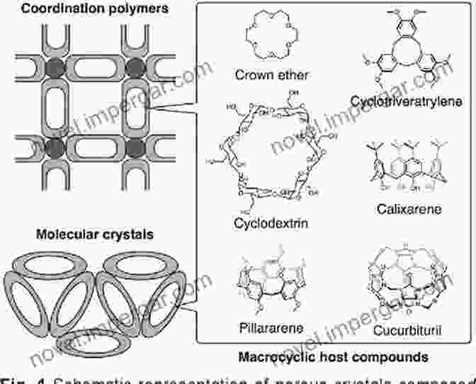 Metallomacrocycles In Material Science Metallomacrocycles: From Structures To Applications (ISSN 27)