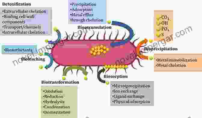 Microbial Breakdown Of Pollutants Bio Valorization Of Waste: Trends And Perspectives (Environmental And Microbial Biotechnology)