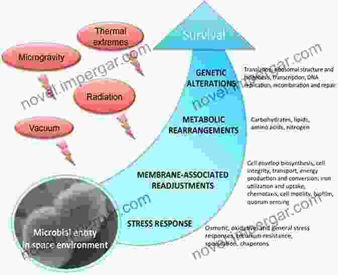 Microbial Survival Strategies And What S Beyond That?: By The Father Of Molecular Microbial Pathogenesis