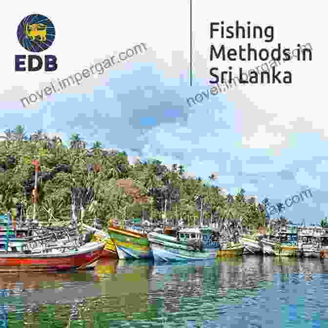 Modern Shipping And Fishing Industries In Sri Lanka Maritime Sri Lanka: Historical And Contemporary Perspectives