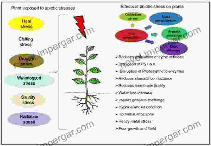 Molecular Breeding For Rice: Enhancing Abiotic Stress Tolerance And Nutritional Quality Molecular Breeding For Rice Abiotic Stress Tolerance And Nutritional Quality