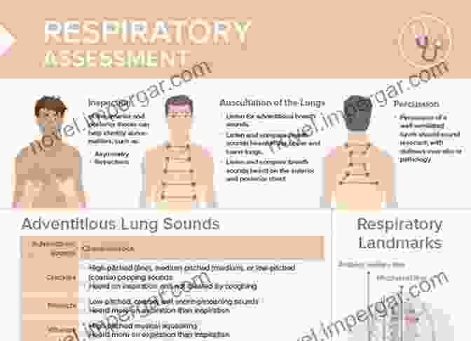 Nurse Performing Respiratory Assessment On A Patient NursingSmart Vol III: Respiratory System