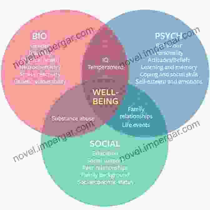 Person Receiving Psychotherapy Models Of The Mind: A Framework For Biopsychosocial Psychiatry