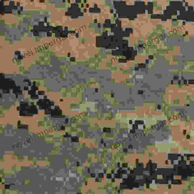 Photo Of Different Camouflage Patterns Used By US Marine Corps Recon Marines US Marine Corps Recon And Special Operations Uniforms Equipment 2000 15 (Elite 208)