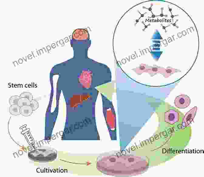 Stem Cell Research And Applications In Regenerative Medicine Lung The: Developmental Morphogenesis Mechanobiology And Stem Cells (Regenerative Medicine Artificial Cells And Nanomedicine 5)