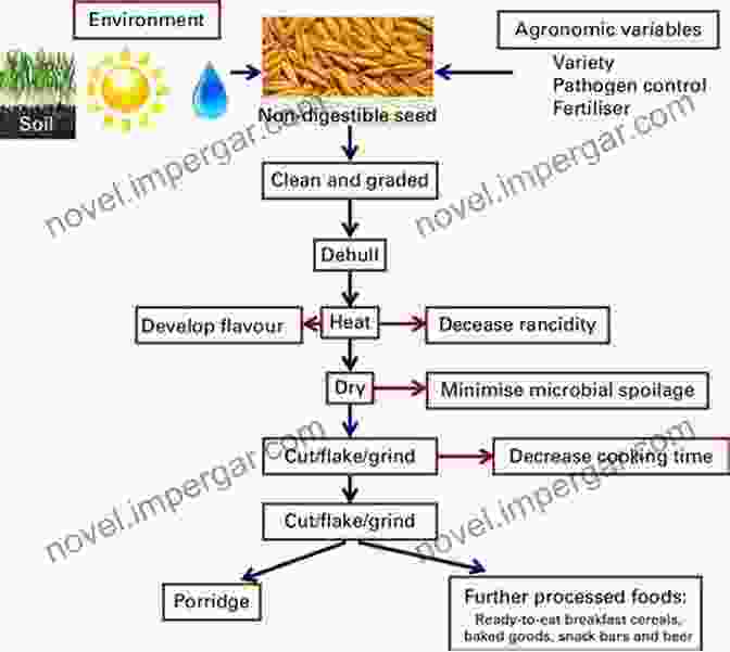 Value Added Processing Techniques For Enhancing The Profitability Of Cereal And Grain Products Advances In Postharvest Management Of Cereals And Grains (Burleigh Dodds In Agricultural Science 88)