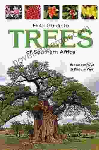 Field Guide To Trees Of Southern Africa: An African Perspective (Field Guide To (Struik Publishers))