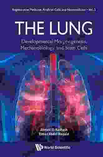 Lung The: Developmental Morphogenesis Mechanobiology And Stem Cells (Regenerative Medicine Artificial Cells And Nanomedicine 5)