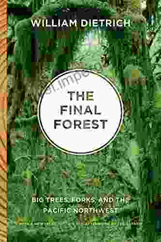 The Final Forest: Big Trees Forks And The Pacific Northwest