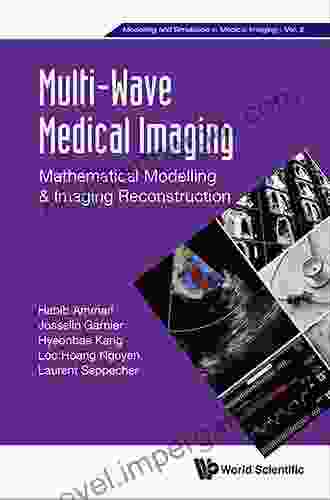 Multi Wave Medical Imaging: Mathematical Modelling And Imaging Reconstruction: Mathematical Modelling Imaging Reconstruction (Modelling And Simulation In Medical Imaging 2)