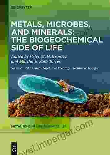 Metals Microbes and Minerals The Biogeochemical Side of Life (Metal Ions in Life Sciences 21)