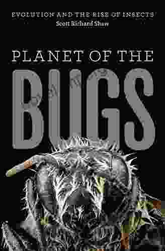 Planet Of The Bugs: Evolution And The Rise Of Insects