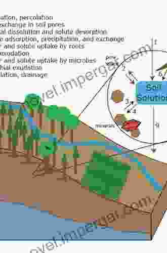 Soil Processes And Water Quality (Advances In Soil Science)