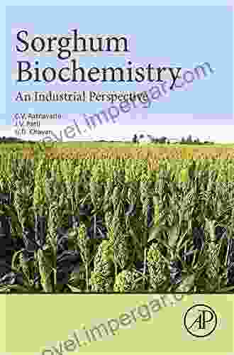 Sorghum Biochemistry: An Industrial Perspective