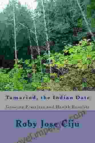 Tamarind The Indian Date (All About Spices And Condiments)