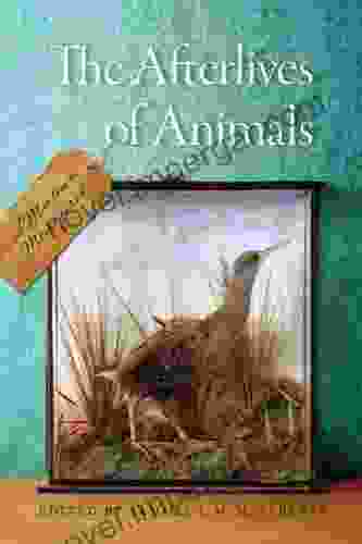 The Afterlives Of Animals: A Museum Menagerie