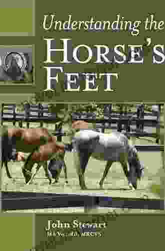 Understanding The Horse S Feet S H Shakman