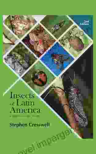 Insects Of Latin America: A Photographic Guide