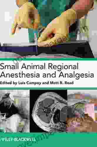 Small Animal Regional Anesthesia And Analgesia