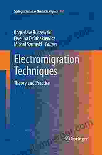 Electromigration Techniques: Theory And Practice (Springer In Chemical Physics 105)