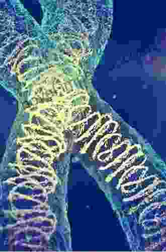 Heredity under the Microscope: Chromosomes and the Study of the Human Genome