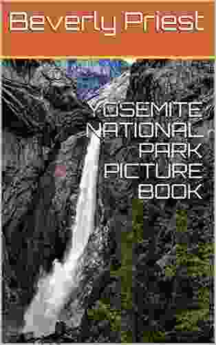 YOSEMITE NATIONAL PARK PICTURE