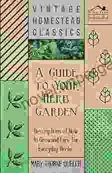 A Guide To Your Herb Garden Descriptions Of How To Grow And Care For Everyday Herbs