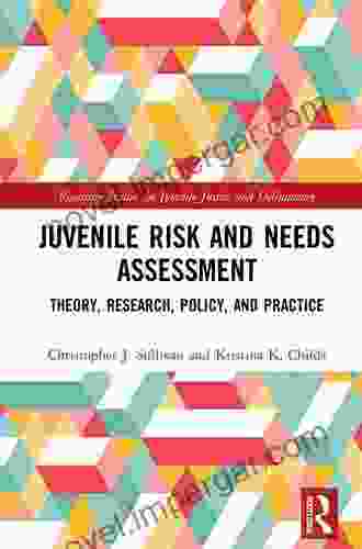 Youth Violence In Context: An Ecological Routine Activity Framework (Routledge Studies In Juvenile Justice And Delinquency)